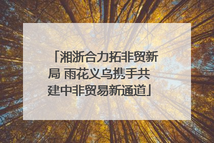 湘浙合力拓非贸新局 雨花义乌携手共建中非贸易新通道