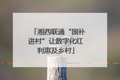 湘西联通“国补进村”让数字化红利惠及乡村