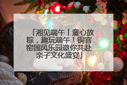 湘见端午丨童心放粽，趣玩端午！铜官窑国风乐园邀你共赴亲子文化盛宴