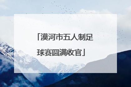 漠河市五人制足球赛圆满收官