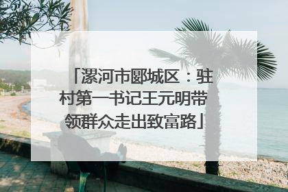 漯河市郾城区：驻村第一书记王元明带领群众走出致富路