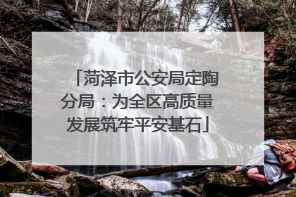 菏泽市公安局定陶分局：为全区高质量发展筑牢平安基石
