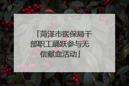 菏泽市医保局干部职工踊跃参与无偿献血活动