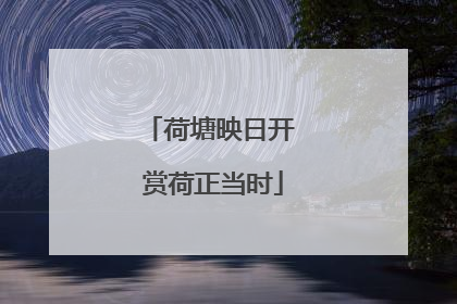 荷塘映日开 赏荷正当时