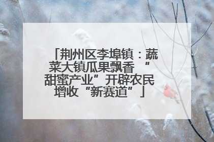 荆州区李埠镇：蔬菜大镇瓜果飘香 “甜蜜产业”开辟农民增收“新赛道”