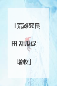 荒滩变良田 甜瓜促增收