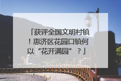 获评全国文明村镇！惠济区花园口镇何以“花开满园”？