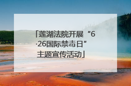 莲湖法院开展“6·26国际禁毒日”主题宣传活动