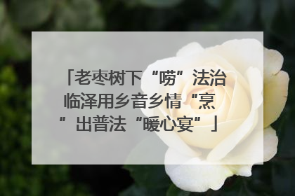 老枣树下“唠”法治 临泽用乡音乡情“烹”出普法“暖心宴”