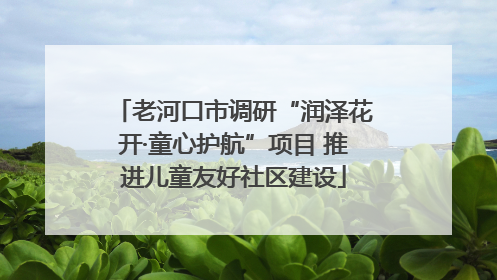 老河口市调研“润泽花开·童心护航”项目 推进儿童友好社区建设