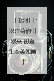 老河口：汉江荷韵引翠来 初夏生态美如画