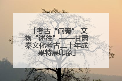 考古“问秦” 文物“述往”——甘肃秦文化考古二十年成果特展印象