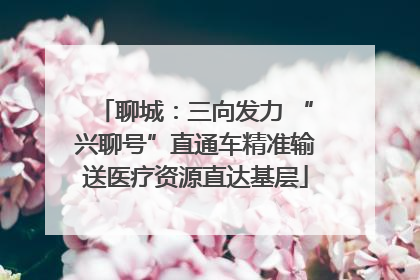 聊城：三向发力 “兴聊号”直通车精准输送医疗资源直达基层