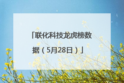 联化科技龙虎榜数据（5月28日）