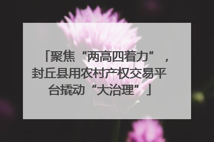 聚焦“两高四着力”，封丘县用农村产权交易平台撬动“大治理”
