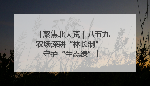 聚焦北大荒｜八五九农场深耕“林长制” 守护“生态绿”