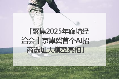 聚焦2025年廊坊经洽会丨京津冀首个AI招商选址大模型亮相