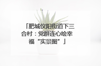 肥城仪阳街道下三合村：党群连心绘幸福“实景图”