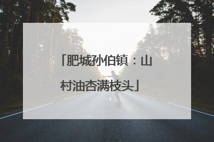 肥城孙伯镇：山村油杏满枝头