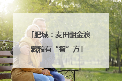 肥城：麦田翻金浪藏粮有“智”方
