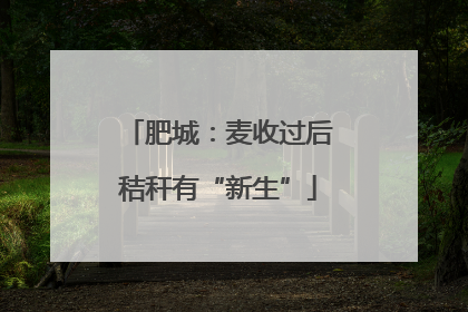 肥城：麦收过后秸秆有“新生”