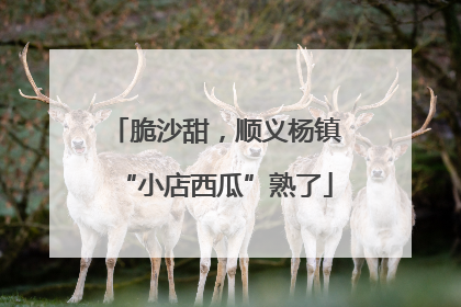 脆沙甜，顺义杨镇“小店西瓜”熟了