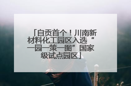 自贡首个！川南新材料化工园区入选“一园一策一图”国家级试点园区