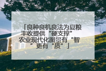 良种良机良法为夏粮丰收提供“硬支撑” 农业现代化图景有“智”更有“质”
