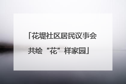 花堤社区居民议事会共绘“花”样家园