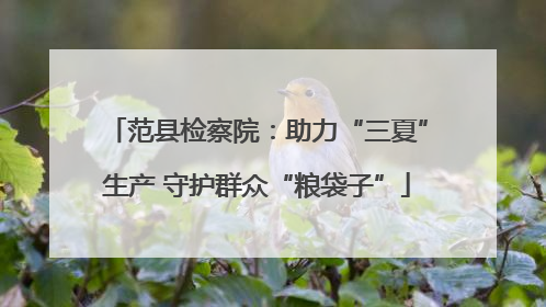 范县检察院：助力“三夏”生产 守护群众“粮袋子”