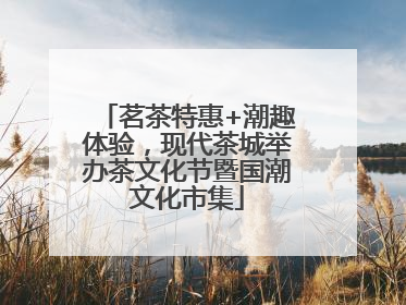 茗茶特惠+潮趣体验，现代茶城举办茶文化节暨国潮文化市集