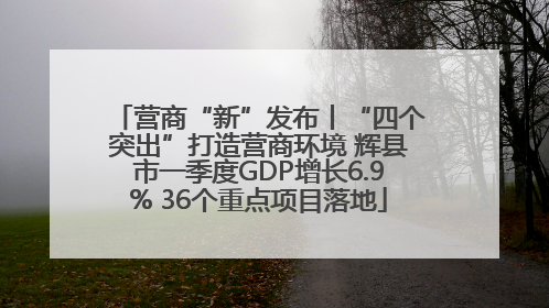 营商“新”发布丨“四个突出”打造营商环境 辉县市一季度GDP增长6.9% 36个重点项目落地