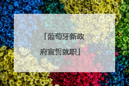 葡萄牙新政府宣誓就职