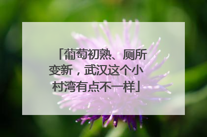 葡萄初熟、厕所变新，武汉这个小村湾有点不一样