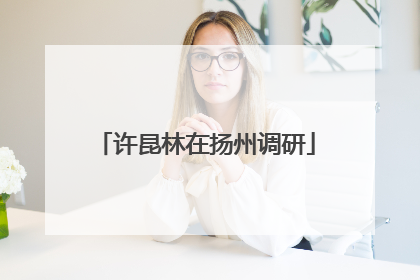 许昆林在扬州调研