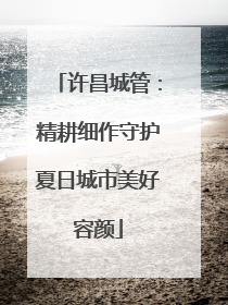 许昌城管：精耕细作守护夏日城市美好容颜