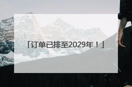 订单已排至2029年！