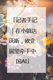 记者手记｜在小镇达沃斯，欧企展望牵手中国AI
