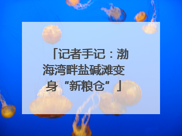 记者手记：渤海湾畔盐碱滩变身“新粮仓”