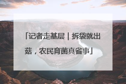 记者走基层｜拆袋就出菇，农民育菌真省事