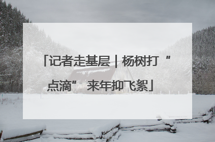 记者走基层｜杨树打“点滴” 来年抑飞絮