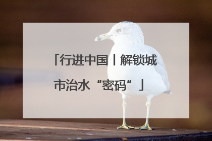 行进中国丨解锁城市治水“密码”