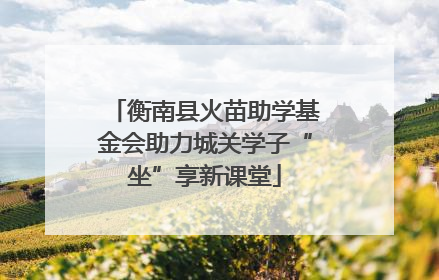 衡南县火苗助学基金会助力城关学子“坐”享新课堂