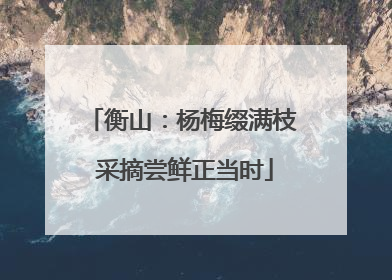 衡山：杨梅缀满枝 采摘尝鲜正当时