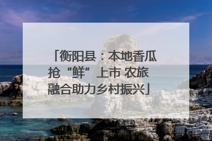 衡阳县：本地香瓜抢“鲜”上市 农旅融合助力乡村振兴