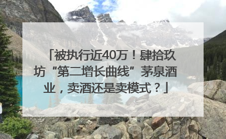 被执行近40万！肆拾玖坊“第二增长曲线”茅泉酒业，卖酒还是卖模式？
