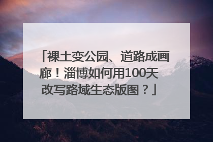 裸土变公园、道路成画廊！淄博如何用100天改写路域生态版图？