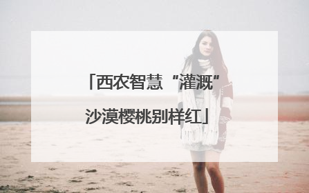 西农智慧“灌溉” 沙漠樱桃别样红