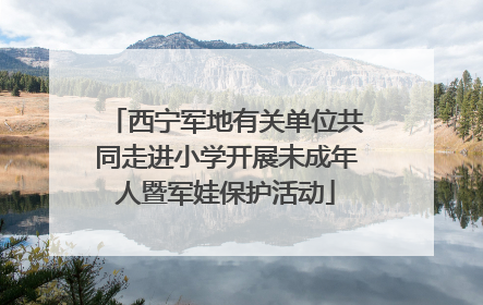 西宁军地有关单位共同走进小学开展未成年人暨军娃保护活动