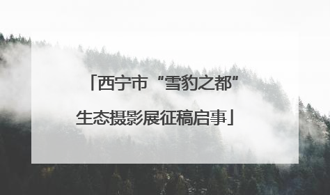 西宁市“雪豹之都”生态摄影展征稿启事